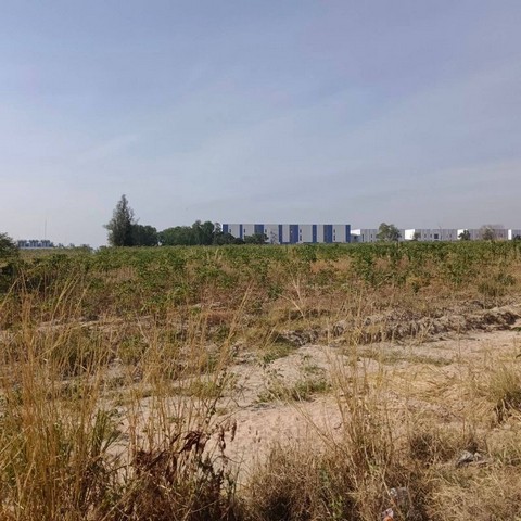 ขายที่ดินระยอง โซนมาบยางพร ปลวกแดง ใกล้นิคมอมตะซิตี้ นอกนิคม FP-L01594