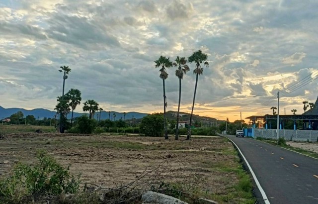 ขายที่ดินเพชรบุรี ขนาด 459.5 ตารางวา ถมแล้ว ใกล้วนอุทยานเขานางพันธุรัตน์