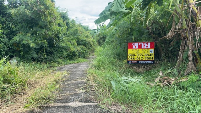 ขายที่ดิน 52 ตารางวา  หมู่บ้านมหาดไทย2 ซอย5  บางระมาด11  ตลิ่งชัน กรุงเทพ
