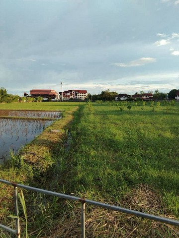 ที่ดินแปลงใหญ่ ทำเลศักยภาพ เหมาะสำหรับพัฒนาโครงการ จัดสรร แม่เหียะ