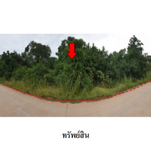 ขายที่ดินว่างเปล่าถนน มิตรภาพ (ทล.2) ตำบล ดอนชมพู อำเภอ โนนสูง จังหวัด นครราชสีมา