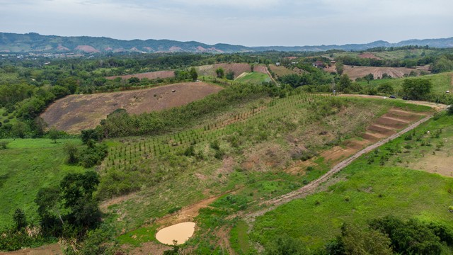 ขายที่ดินเขาค้อ นะโมแลนด์ Phase 3-2 เริ่ม 1200 ตร.ว. ทำเลทุ่งสมอ บรรยากาศภูเขาและพื้นที่สีเขียว ราคา 11250 บาท-ตร.ว.