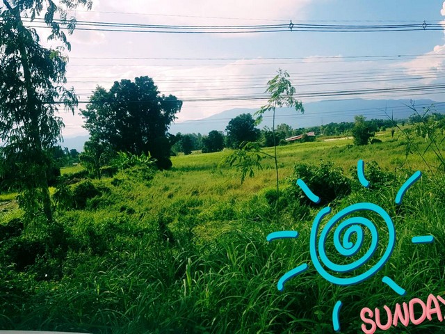 สู่ยุคหาทรัพย์ดีเอื้อเศรฐกิจ  เมืองบ้านตากจังหวัดตาก  3-1-40 ไร่ ติดถนนเอเซีย AH1 ติดถนนพหลโยธิน ไร่ 3ลบ. โทร 096-8821857