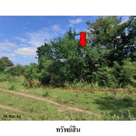 ขายที่ดินว่างเปล่า ถนน สายบ้านนากลาง-บ้านโป่งแมลงวัน (นม.2144) ตำบล โคกกรวด อำเภอ เมืองนครราชสีมา จังหวัด นครราชสีมา