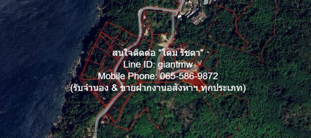 ที่ดิน ที่ดิน ใกล้หาดกมลา อ.กะทู้ จ.ภูเก็ต  34000000 BAHT   สนั่นวงการ เป็นที่ดินแปลงเล็กรูปทรงอิสระที่มีหน้ากว้าง มีถนนคอนกรีตถึงหน้าที่ดินมองเห็นทะเล และด้านหลังเป็นป่าเบญจพรรณโดยรอบ เหมาะสำหรับนักลงทุนที่ต้องการนำไปปลูกบ้านสไตล์พูลวิลล่า