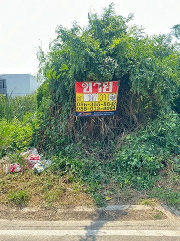 ขาย/เช่าที่ดิน 100 ตารางวา  ซอยศรีด่าน22  พัฒนาชุมชน25  รถไฟฟ้าศรีลาซาล  แบริ่ง   ZT892