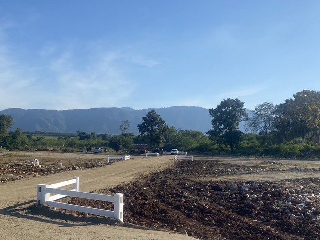 ที่ดิน - 376 SQ.WA 0 NGAN 0 ไร่  3647200 THAI BAHT ใกล้ เขาใหญ่ หมูสี เล่นใหญ่ นครราชสีมา