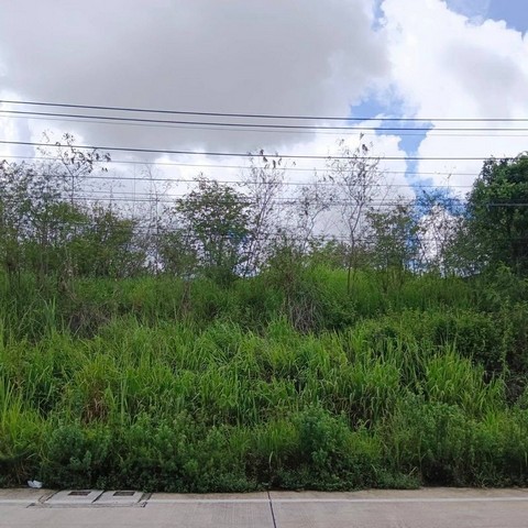 ขายที่ดินศรีราชา บ่อวิน แปลงสวย ทำเลดี เขตเขาขยาย FP-L01902