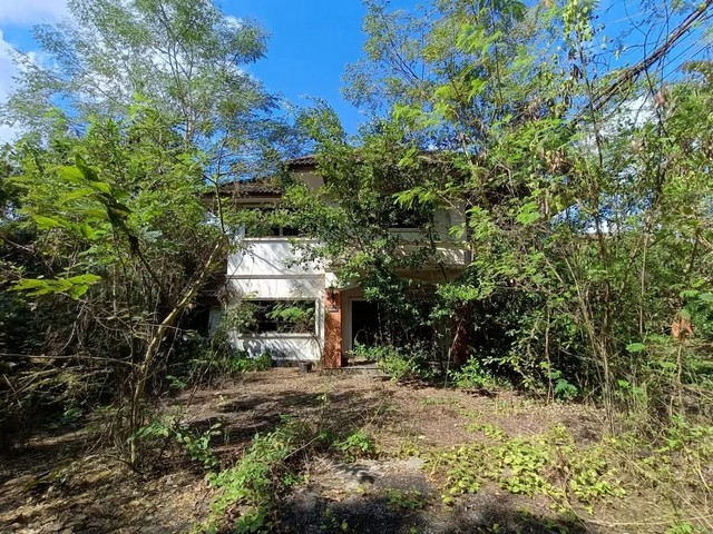 ขาย บ้านเดี่ยว บ้านดู่ เชียงราย ห่างจาก บิ๊กซี ซูเปอร์เซ็นเตอร์ เชียงราย 2 (สนามบิน) เพียง 3.50 กม.