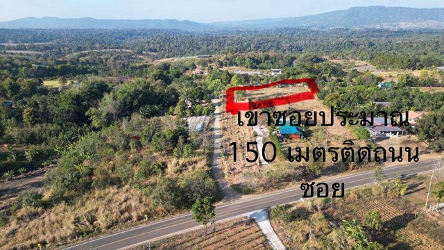 ขายที่ดินบนเขาค้อ จังหวัดเพชบูรณ์ เนื้อที่ประมาณ 3 ไร่