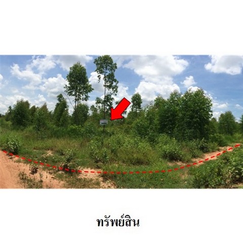 ขายที่ดินว่างเปล่า ถนน สายบ้านโป่งคองเหนือ-บ้านเขว้า (ชย.3007) ตำบล รอบเมือง อำเภอ เมืองชัยภูมิ จังหวัด ชัยภูมิ