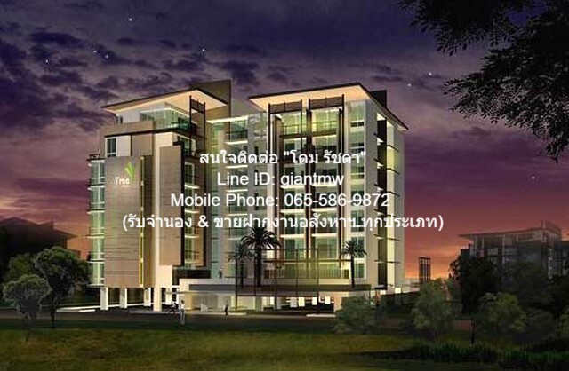 CONDOMINIUM Tree Condo Sukhumvit 52 ทรี คอนโด สุขุมวิท 52 44 ตรม 17500 - ใกล้ รถไฟฟ้า BTS อ่อนนุช 250 ม. ที่สุดของความสบาย กรุงเทพ