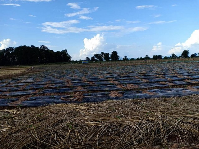 รีบหาที่ทางทำเกษตรพอเพียง  ที่สวยติดแม่น้ำน่าน น้ำใสไหลรินตลอดปี  ต.ศรีภูมิ อ.ท่าวังผา จ.น่าน ขาย 800000  วิวดีสวยมาก 0968821857