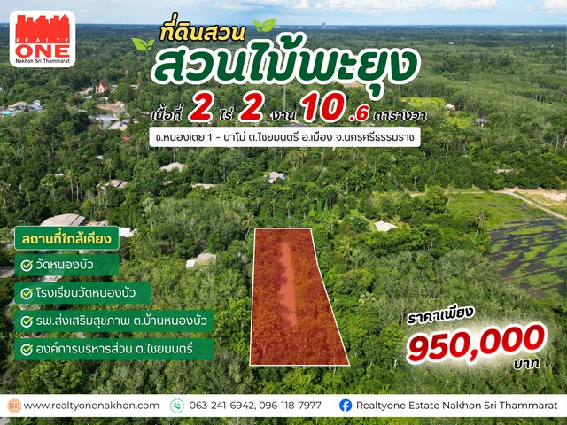 สวนไม้พะยูง พร้อมบ่อน้ำภายในแปลง เนื้อที่ 2-2-10.61 ไร่ ต.ไชยมนตรี