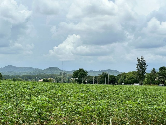 ขายที่ดินเปล่าแปลงสวย หนองขาม ศรีราชา ชลบุรี FP-L01582