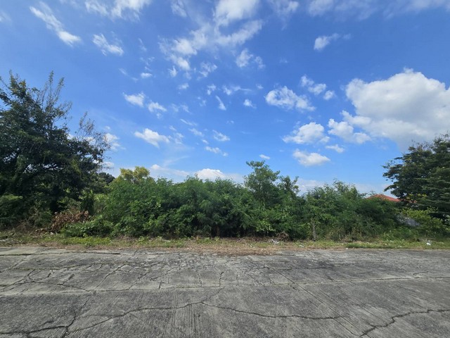 ขายที่ดิน คลองห้า คลองหลวง 2-0-41 ไร่ ใกล้ม.ราชมงคล ทำเลดี เหมาะสร้างบ้าน-โกดัง