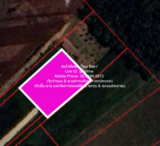 ที่ดิน ขายที่ดินไร่สวนทางการเกษตร (ติดถนน และติดเขา) area 1 RAI 0 ngan 0 Square Wah  530000 - พร้อมให้คุณเป็นเข้าจอง