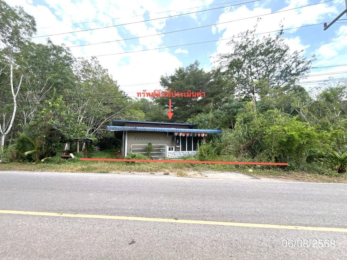 ขาย บ้านเดี่ยว สุราษฎร์ธานี  อำเภอ พุนพิน จังหวัด สุราษฎร์ธานี