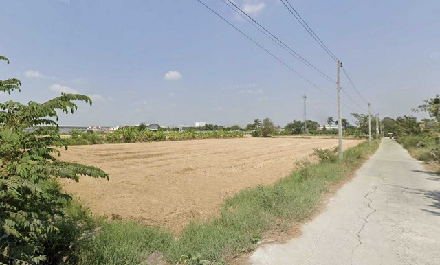 ขายที่ดิน ทำเล ไร่ขิง อ.สามพราน จ.นครปฐม ขนาด 4 ไร่ 1 งาน ผังเมือง สีม่วงเม็ดมะปราง