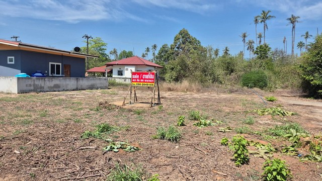 ขายที่ดินหาดแสงอรุณ อำเภอทับสะแก จังหวัดประจวบคีรี เนื้อที่ 86 ตารางวา