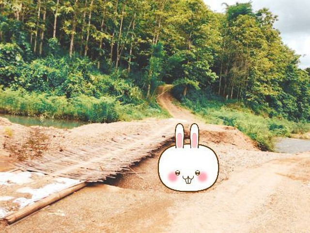 รวมบ้านที่ดินดีงามเพื่อคุณ  ขายที่ดินติดลำธารน้ำใสไหลริน ชุ่มฉ่ำตลอดปี สวยวิวล้าน 800000บาท 3-0-35ไร่ อำเภอสันติสุข น่าน