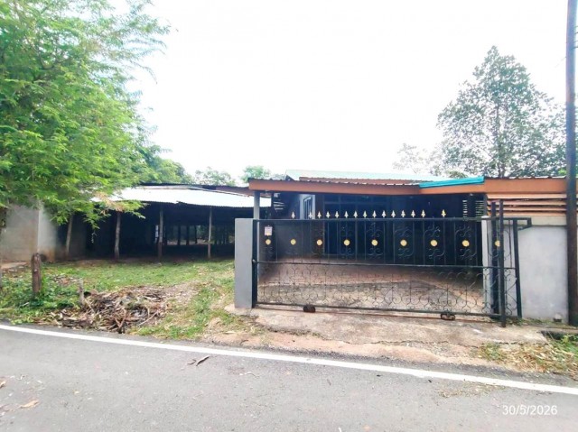 ขายบ้านเดี่ยว ชัยภูมิ ถนน สายบ้านสระแต้ - บ้านหนองผักหลอด ตำบล บ้านดอน อำเภอ ภูเขียว จังหวัด ชัยภูมิ
