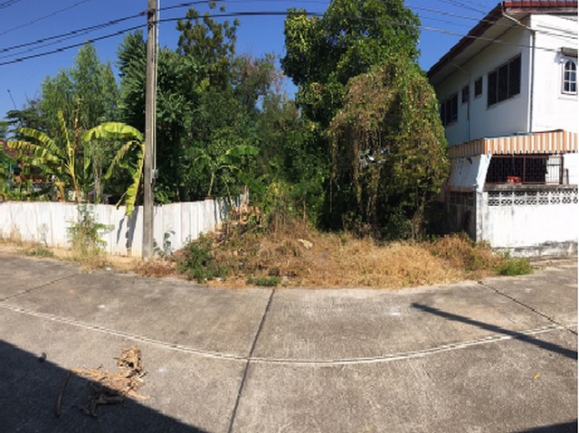 ขายที่ดินว่างเปล่ามือสองพนมสารคาม  โครงการพนมแลนด์แอนด์เฮ้าส์ ฉะเชิงเทรา