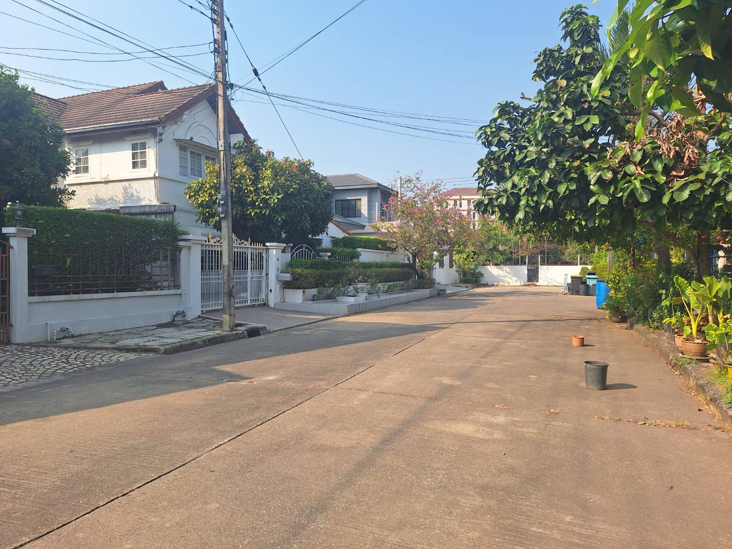 ขายบ้านเดี่ยว 90 ตรว. ใกล้มหาวิทยาลัยรังสิต จ.ปทุมธานี