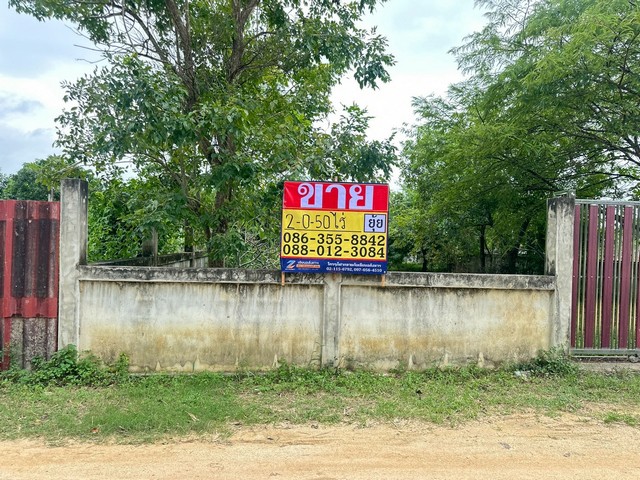 ขายที่ดิน  2-0-50 ไร่  ซอยทุ่งกลม-ตาลหมัน  ห้วยใหญ่  บางละมุง  ชลบุรี   ZT867