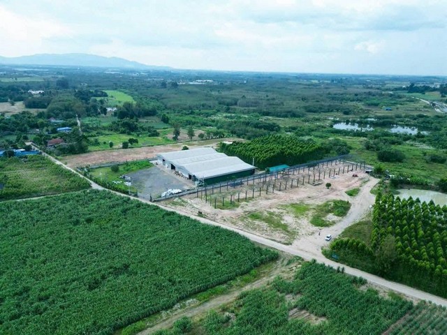 ขายโกดังขนาด 3000 ตร.ม. บนเนื้อที่ 6ไร่ ต.หนองไผ่แก้ว อ.บ้านบึง จ.ชลบุรี