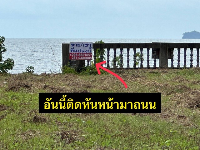 ใกล้ปีใหม่ดูทรัพย์มีมูลค่า ขายที่ดินริมหาดสะพลีทรายขาวน้ำใสคราม สวยงามวิวทะเลธรรมชาติสุดสุด ปะทิวใกล้หาดสวยทุ่งวัวแล่น