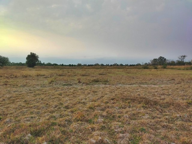 ขาย ที่ดินการเกษตร สองห้อง-นาเชือก หนองสองห้อง ขอนแก่น