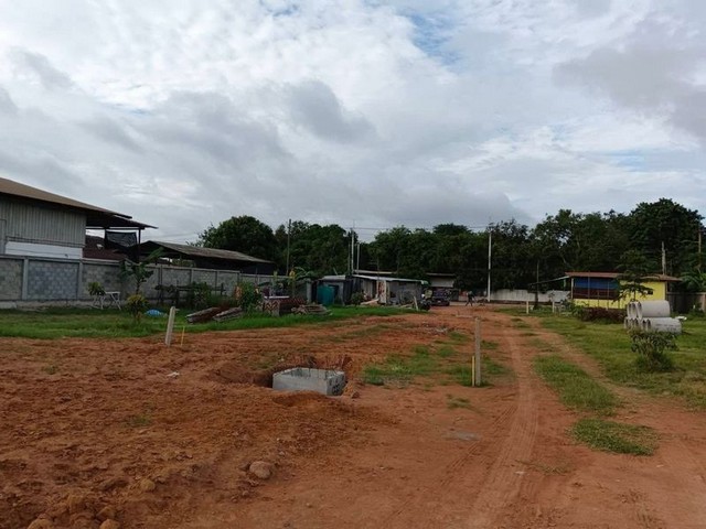 ขายที่ดินเปล่า 1งาน เหลือแปลงสุดท้าย! ศรีราชา-นาพร้าว TP-L1787