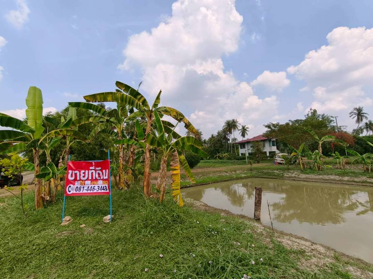 ขายที่ดินพร้อมสิ่งปลูกสร้าง ทำเลทอง ใกล้ถนนพุทธมณฑลสาย 7 และถนนบรมราชชนนี อำเภอสามพราน จังหวัดนครปฐม