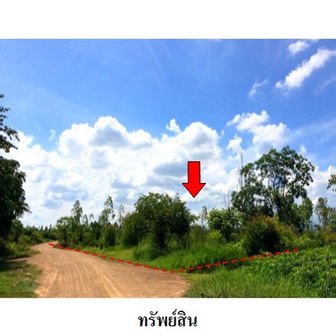 ขายที่ดินว่างเปล่า ถนน สายบ้านยางป่า-โคกสูง (ชย.4077) ตำบล โคกสูง อำเภอ เมืองชัยภูมิ จังหวัด ชัยภูมิ