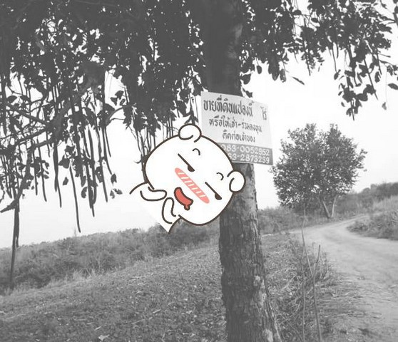 จากใจคนขายถึงใจผู้ซื้อ  ธรรมชาติเนินเขา ที่ดินโฉนดแบ่งขาย หล่มเก่า เพชรบูรณ์ ใกล้ภูทับเบิก โทร 0968821857