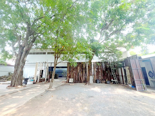 เช่า-ขายที่ดินพร้อม ตลาดเอกมัย 1กม.1725ตร.มซ.สุขุมวิท 47-51  อาคาร 2 ชั้น 1ไร่ 35 ตร.วา.ทองหล่อ 21-25MRT รฟม.1.6 กม.วิวสวน 5 นอน 5 น้ำ