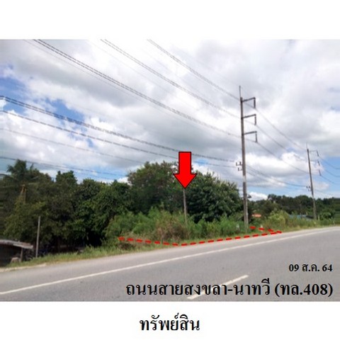 ขายที่ดินว่างเปล่า ถนน สงขลา-นาทวี (ทล.408) ตำบล จะโหนง อำเภอ จะนะ จังหวัด สงขลา