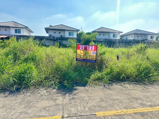 ขายที่ดิน  67.6 ตารางวา   มบ.บารเมษฐ์ เฉลิมพระเกียรติ ร.9 ซอย62     ZT863