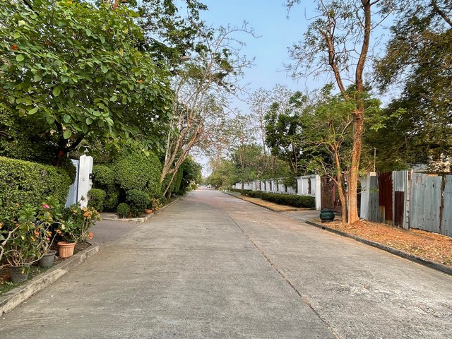 ขายที่ดินเปล่าเกือบ 300 ตรว. ซอยหมู่บ้านเสรีวิลล่า ศรีนครินทร์ 55 ใกล้ถนนศรีนครินทร์ และสวนหลวง ร.9 หลังห้างพาราไดซ์