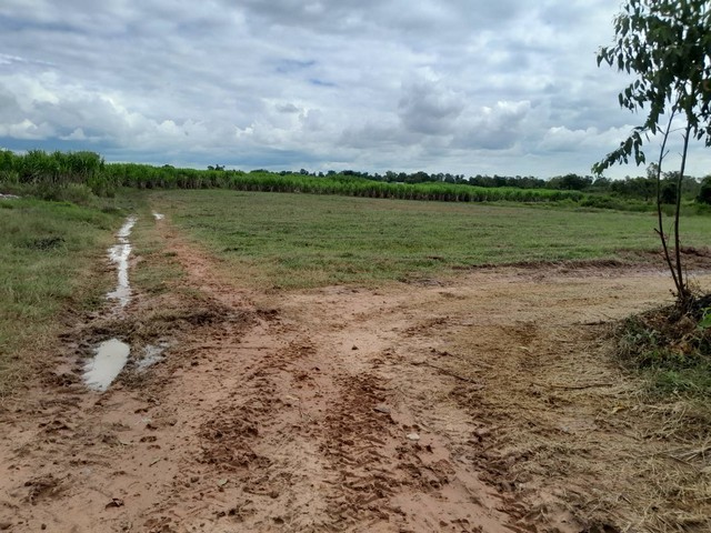 ฝากไว้ให้พิจารณานะคะ ขายที่ดินสวยติดภูเขา เทือกเขายาวเรียงแนว ดินดีสมบูรณ์ทรัพย์ในดิน ฟ้าใสวิวหลักล้าน ต.นาจาน อ.สีชมพู จ.ขอนแก่น