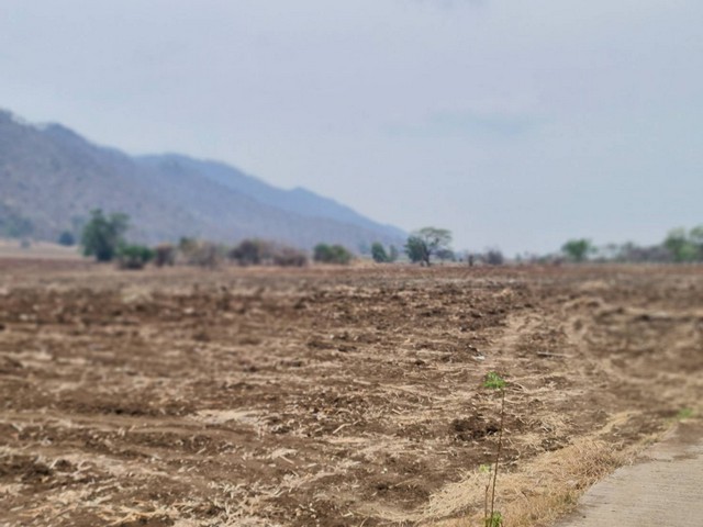 รีบหาที่ทางทำเกษตรพอเพียง ที่ดินติดภูเขา ต.พระนอน อ.เมือง จ.นครสวรรค์ วิวสวยมากๆๆ 5ไร่เศษ โทร 096-882-1857