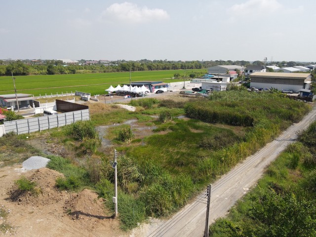 พื้นที่ดิน -  1250000 THB ใกล้กับ ตลาด อำเภอ คลอง10ลำลูกกา  บรรยากาศดี ถูกมาก ถนนกว้าง เหมาะทำโกดัง สร้างบ้าน