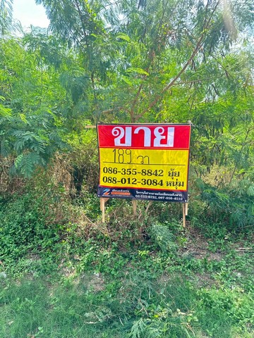 ขายที่ดิน 189 ตารางวา  ซอยรามอินทรา 57 แยก8  บางเขน  ใกล้สถานีรถไฟฟ้าสายสีชมพู    ZT897