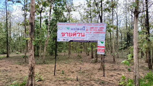 ที่ดินพร้อมสวนป่าสัก 8-2-21 ไร่ (5แปลงติดกัน) ตำบลทุ่งยั้ง อำเภอลับแล จังหวัดอุตรดิตถ์