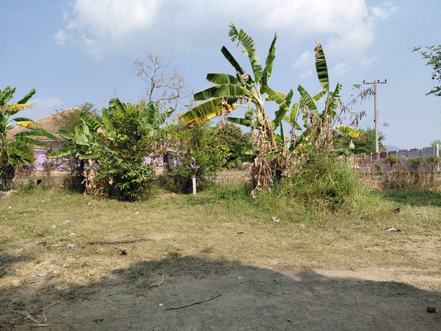 ฝากไว้ให้พิจารณานะคะ ที่ปากช่อง 2ไร่- 8ไร่ โฉนด ต.วังไทร อ.ปากช่อง จ.นครราชสีมา ไร่ละ  2.9 ลบ.สูงจากระดับน้ำทะเลมาก น้ำไฟพร้อม