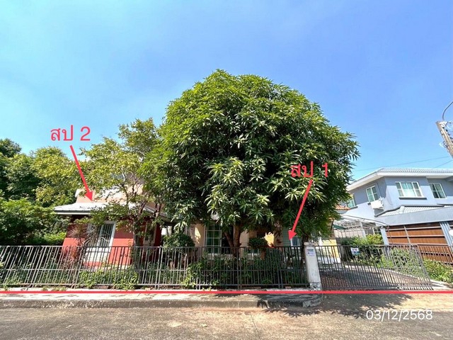 ขายบ้านเดี่ยว บ้านปาริชาต  ถนนคุ้มเกล้า ลาดกระบัง กรุงเทพ