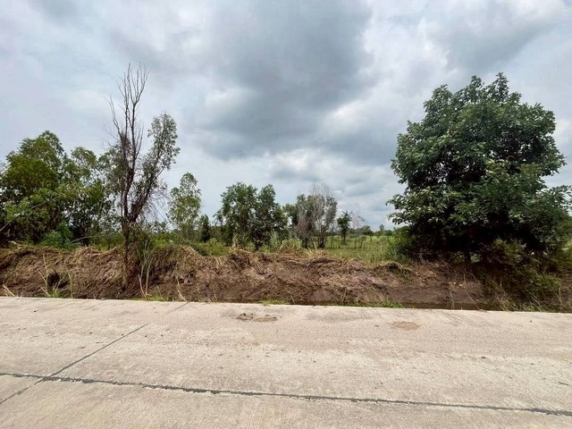 ขายที่ดินพานทองชลบุรี พื้นที่ 1 ไร่ ที่ดินติดนิคมอมตะเฟส 10 พื้นที่สีม่วงลาย เหมาะสำหรับสร้างโรงงาน โกดัง ลานจอดรถ หรือกิจการเพื่อการลงทุน