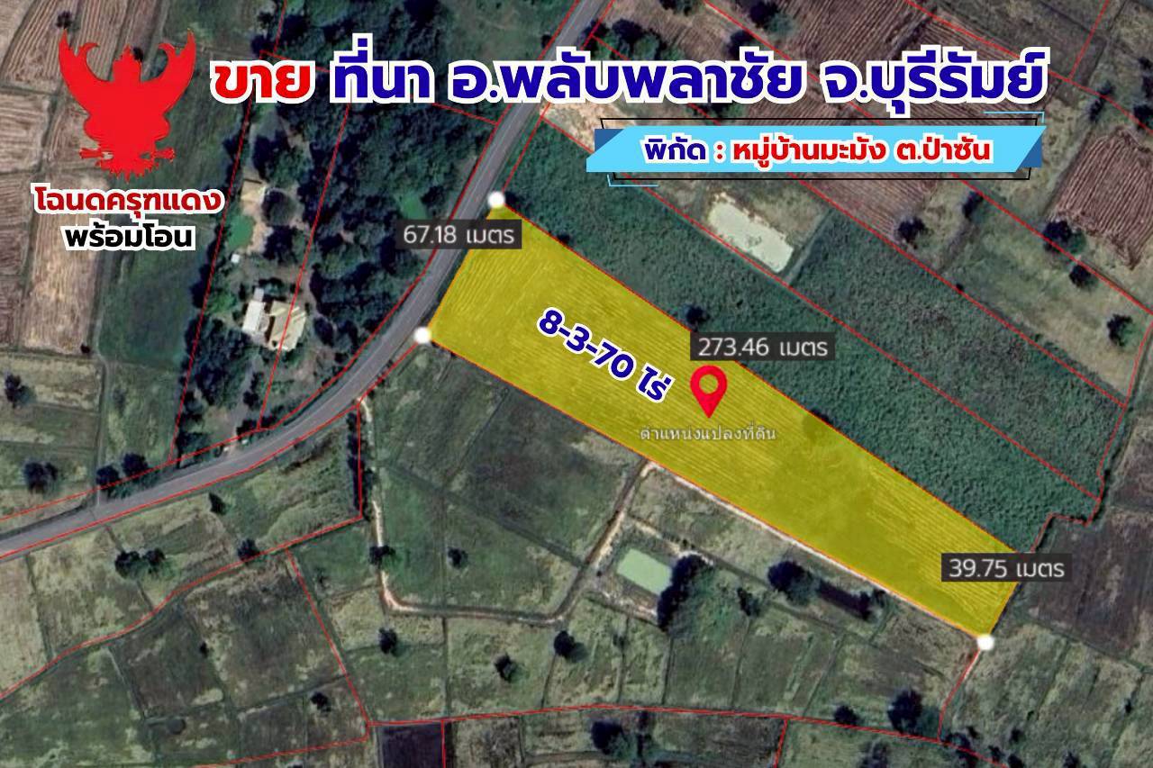 ขายด่วน ที่ดินที่นา 8 ไร่ 3 งาน 70 ตรว. ติดถนนลาดยาง โฉนดครุฑเเดงพร้อมโอน