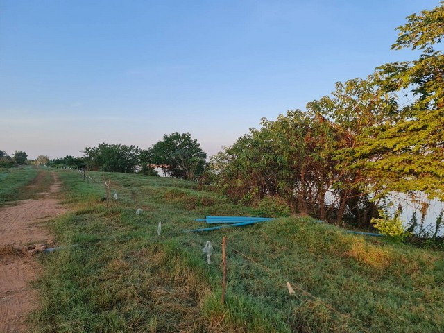 ฝากไว้ให้พิจารณานะคะ ที่ติดแม่น้ำโขง ต.กุดบง อ.โพนพิสัย จ.หนองคาย  หลังติดแม่น้ำโขง ไร่ละ 2ล้านบาท โทร 096-882-1857